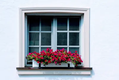 Serwis I Naprawa okien PCV „Ćmachowski” Okna